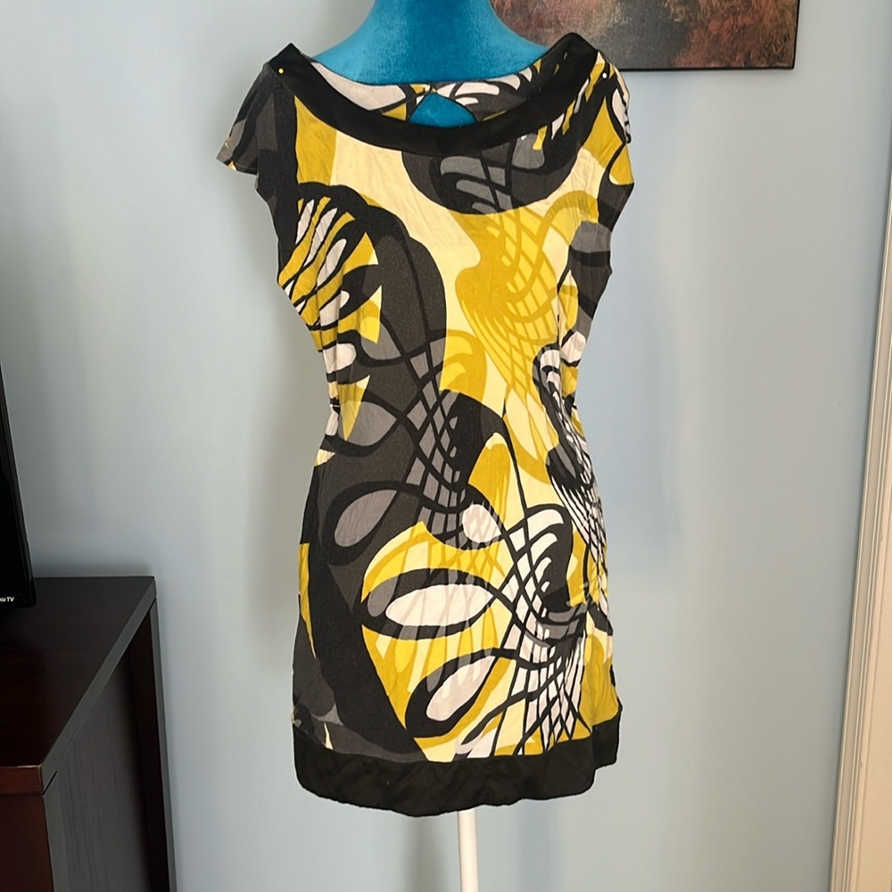 Express cotton dress